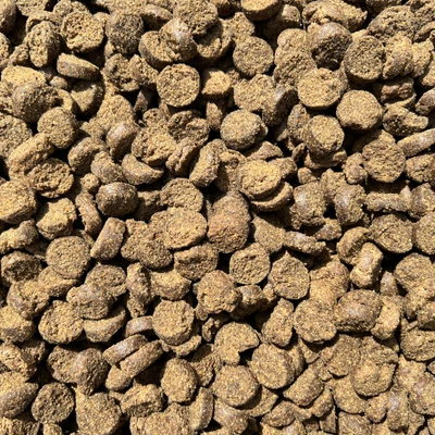 authentic-gold-balanced-dog-szaraz-kutyatap-15