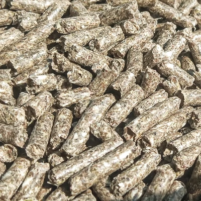 PelletM általános alap kondicionáló lótáp 20kg