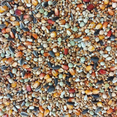 klasszik-galamb-magkeverek