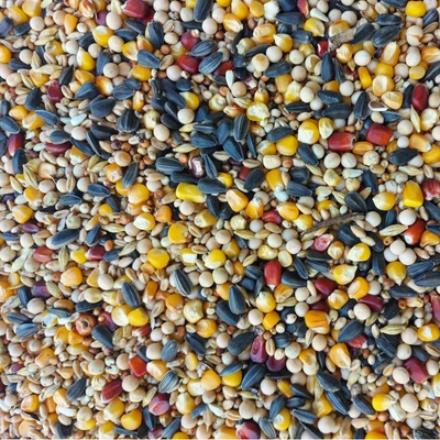 q10-galamb-magkeverek