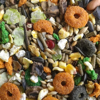 ragcsalo-eledel-magkeverek