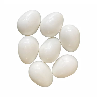 Műtojás galambok részére