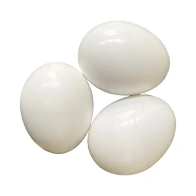 Műtojás kacsák részére