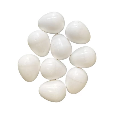 Műtojás papagájok részére