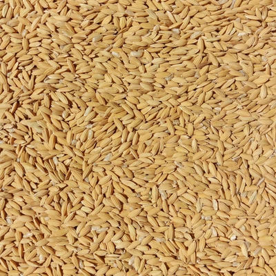 Hántolatlan rizs (kimérve/kg)