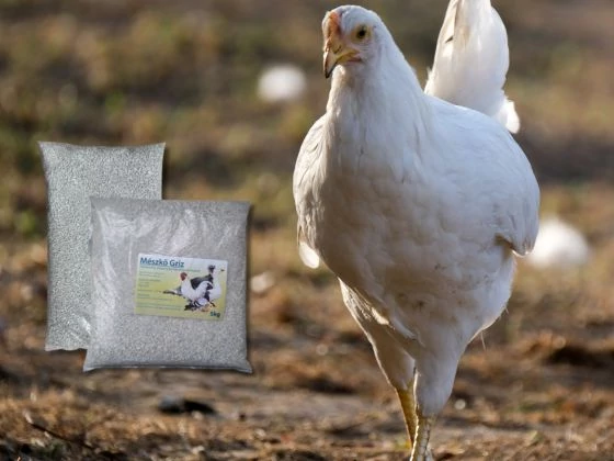 Erős tojások, egészséges, jó emésztésű szárnyasok - a jó takarmány titkos összetevője: a gritt