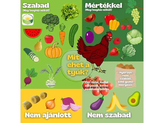 Mit ehetnek a tyúkok és mi az, amit inkább ne adj nekik?