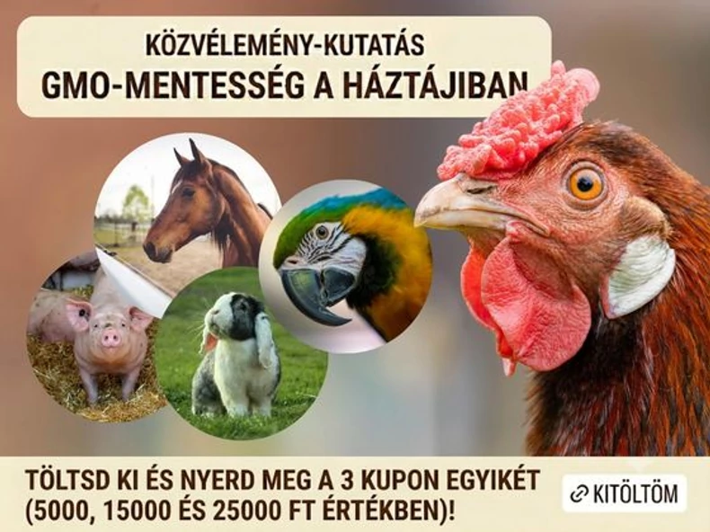 Töltsd ki és nyerj: közvélemény-kutatás a háztájiban - fókuszban a GMO-mentesség