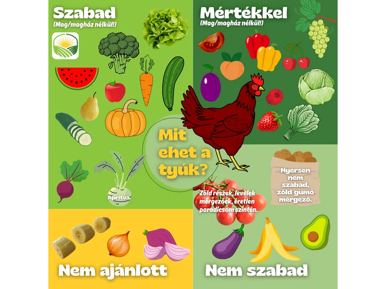 Mit ehetnek a tyúkok és mi az, amit inkább ne adj nekik?