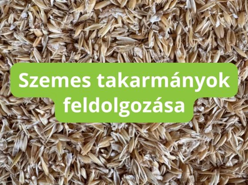 Szemes takarmányok roppantása és darálása - mikor szükséges és miért?