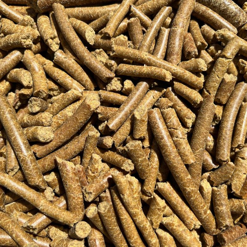 lenmag-pellet