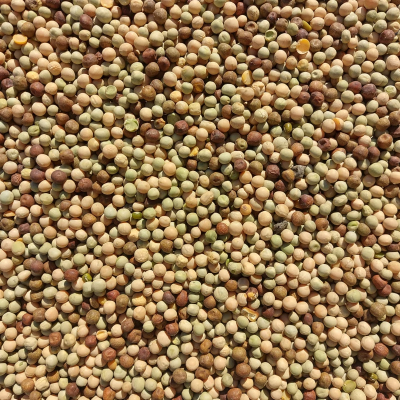 Borsó mix (kimérve/kg)