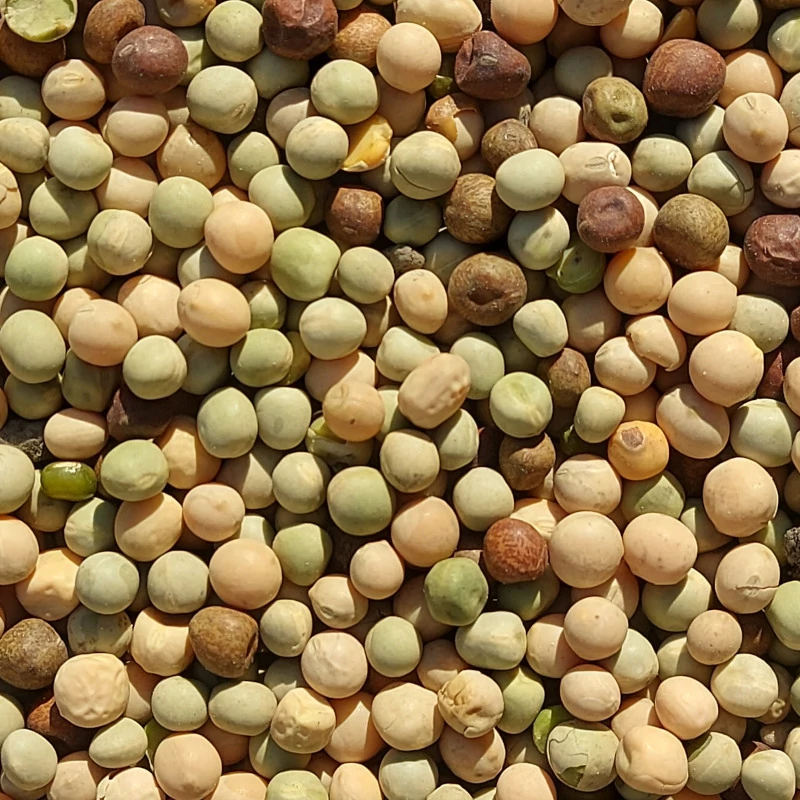 Borsó mix