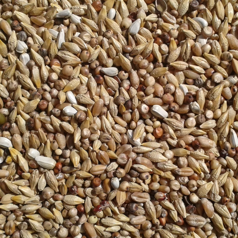 dietas-galamb-magkeverek