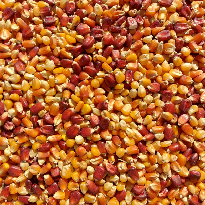 Kukorica mix (kimérve/kg)