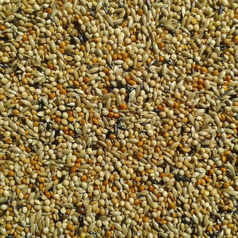 pinty-egzota-magkeverek