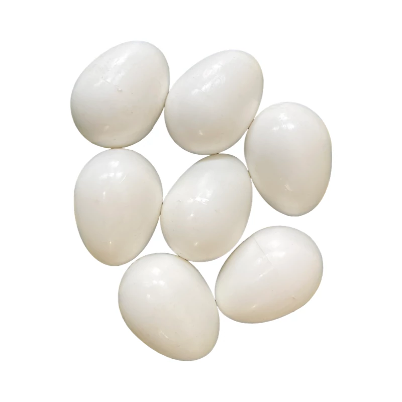 Műtojás galambok részére