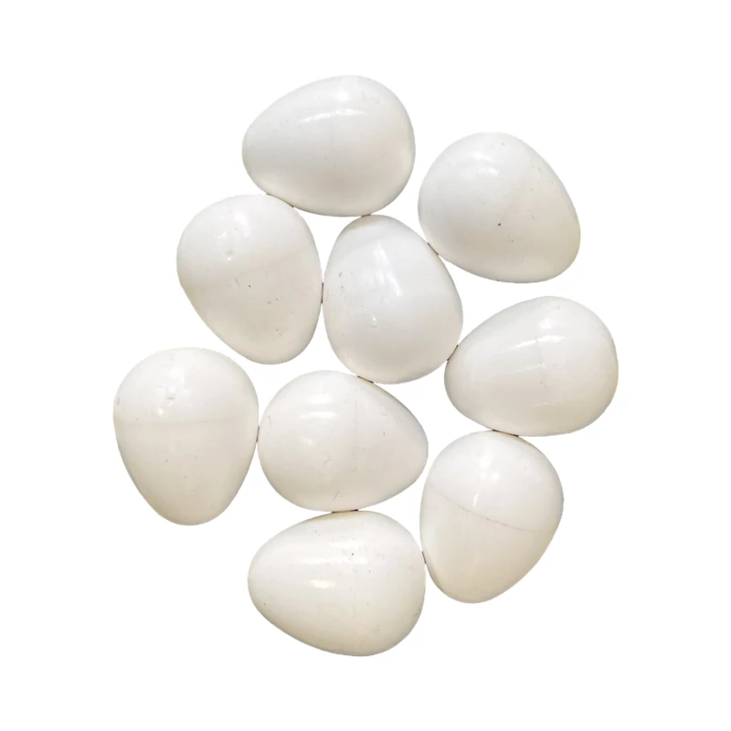 Műtojás papagájok részére