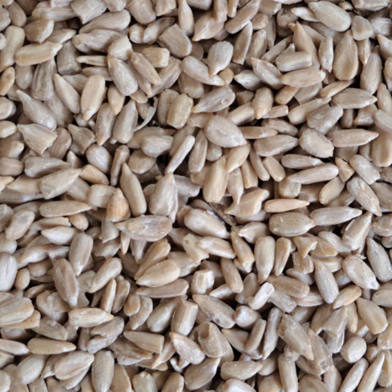 Hántolt napraforgó